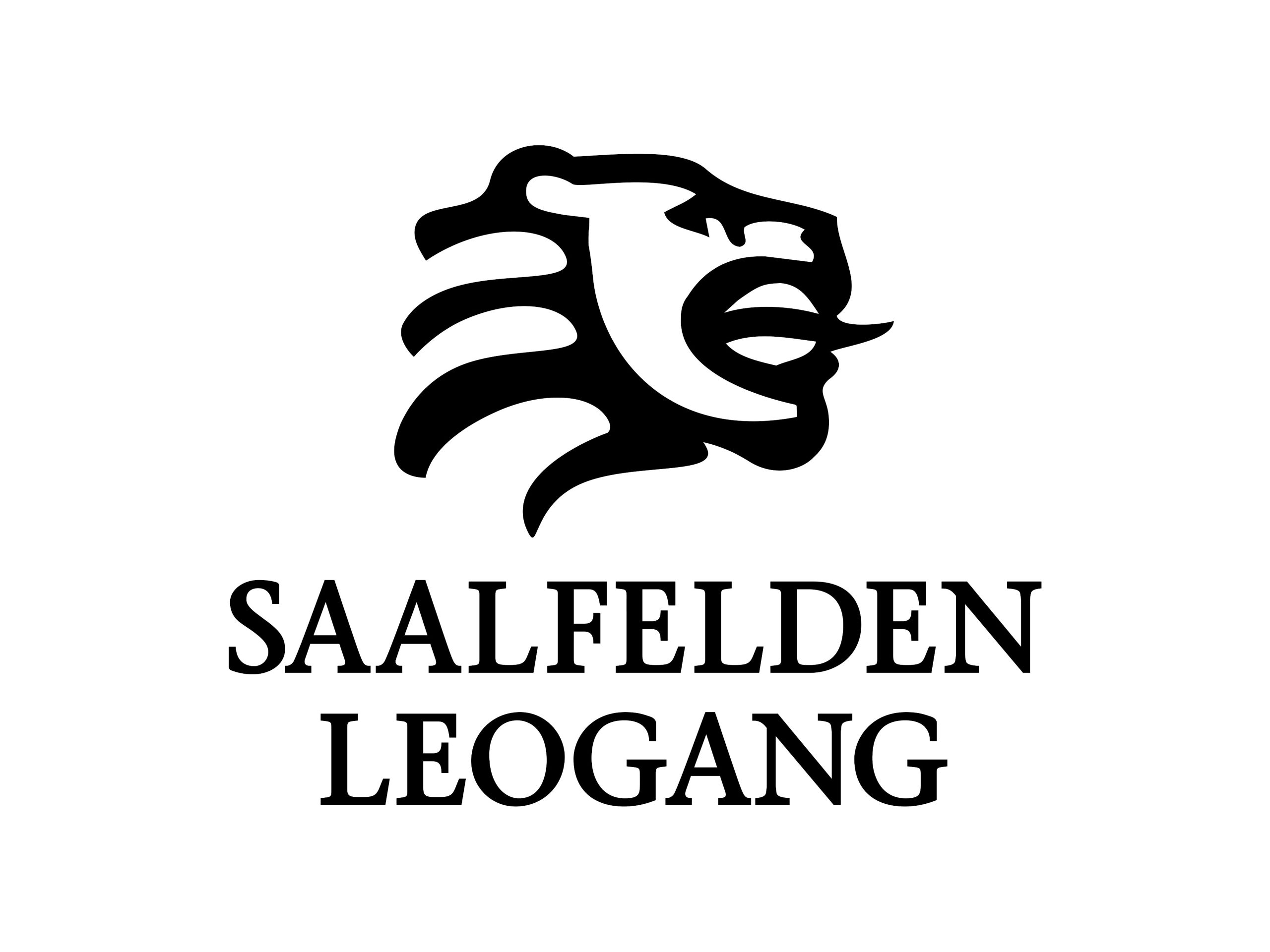 Saalfelden Leogang Touristik